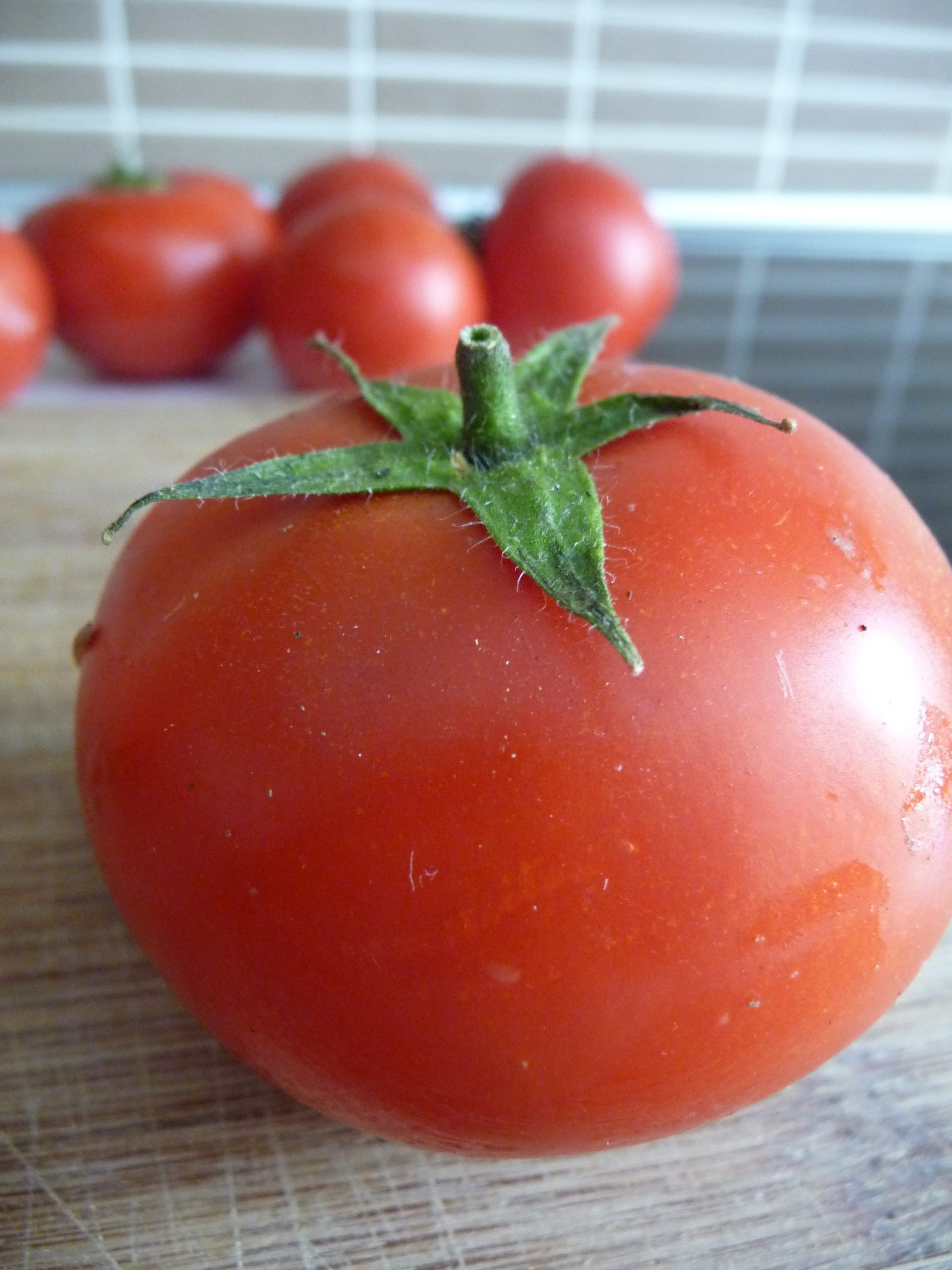 Tomate Italiano