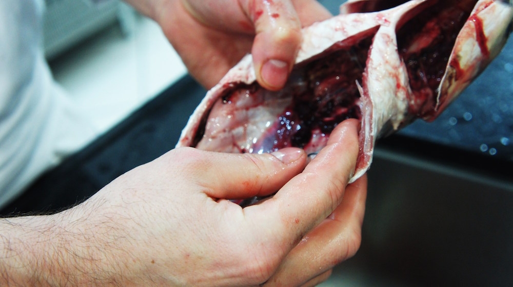 Curso de Chef Básico ICIF