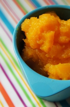 Purê de Moranga para Bebês