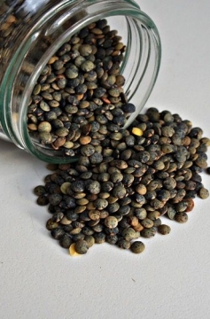 Lentilha du Puy com Camarão