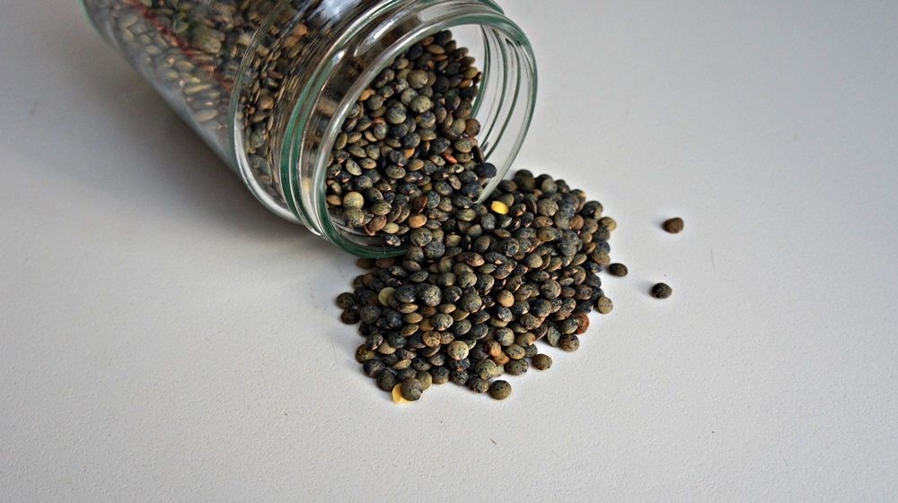 Lentilha du Puy com Camarão