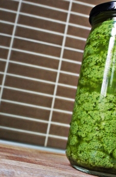 Receita de Pesto de Basilíco