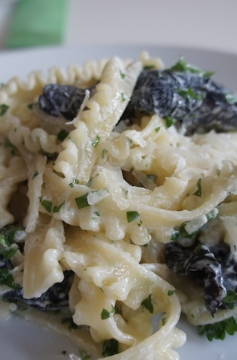 Tagliatelle ao Molho de Funghi Secchi