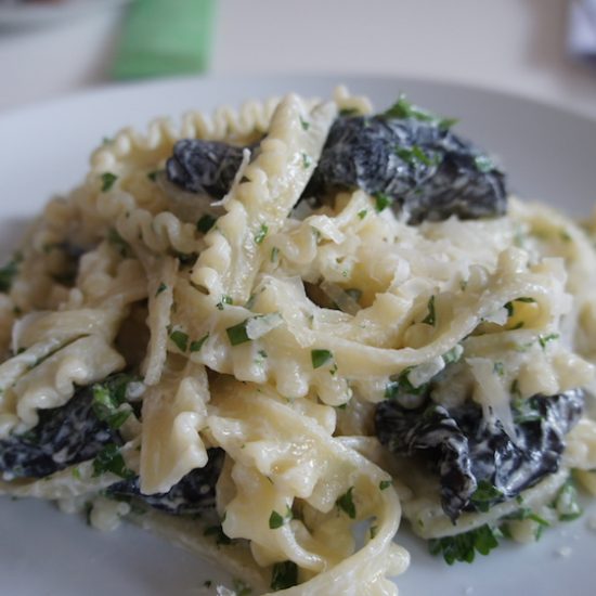 Tagliatelle ao Molho de Funghi Secchi