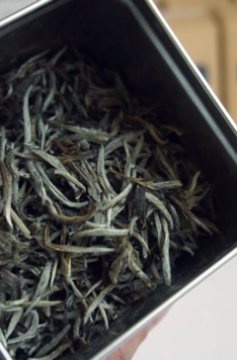 Silver Needle, O Chá Branco Anticancerigeno e Caro