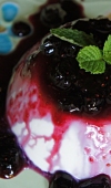 Receita de Panna Cotta de Nata e Calda de Mirtilo (blueberry)