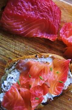 Receita de Salmão Curado na Beterraba (Gravlax)