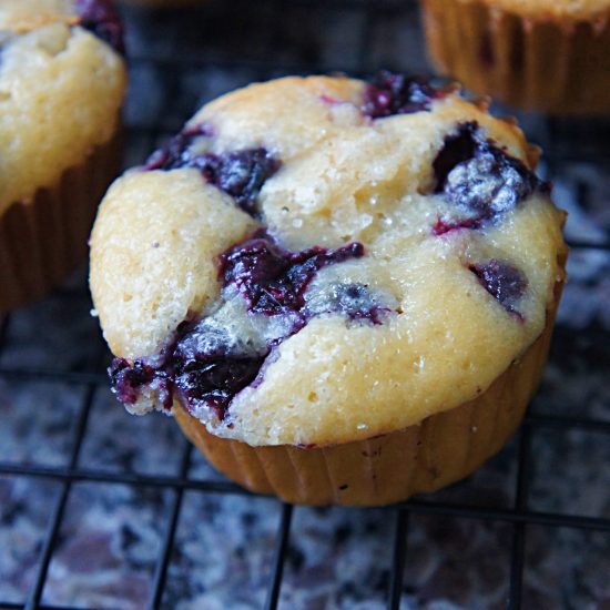 Receita de Muffin de Mirtilo e Banana