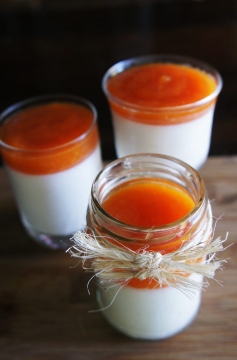 Receita de Panna Cotta de Iogurte Grego com Calda de Mamão
